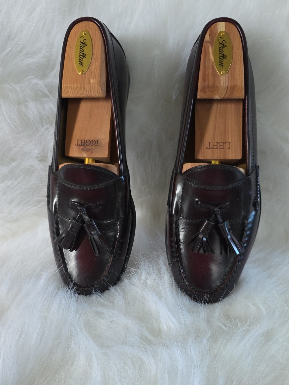 Cole Haan Shoes 8.5